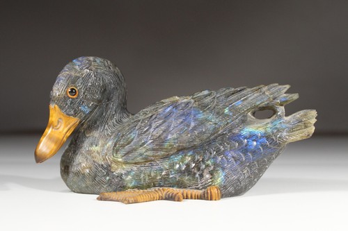 Ente labradorit zugeschr - ente,