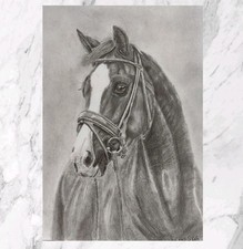 Pferde Bleistiftzeichnung, Graphitzeichnung, Bilder, Gemälde, Malerei, Zeichnung