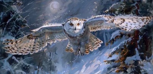 Schnee eule 100x200cm - schnee-eule,