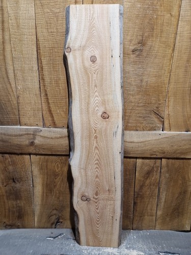 Kieferplatte live edge - kieferplatte,
