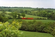 FOTO 1993 DEVON ASHBURY ÜBER