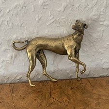 Windhund Greyhound Whippet