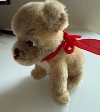 Steiff Tiere - alt - Vintage - Sammlung - Nachlass - Hund Mopsy
