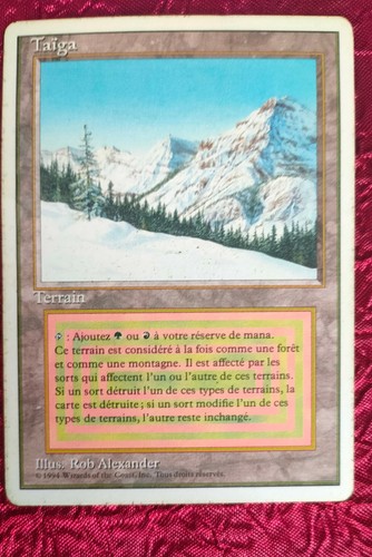 Magic mtg taiga foreign white - mtg,