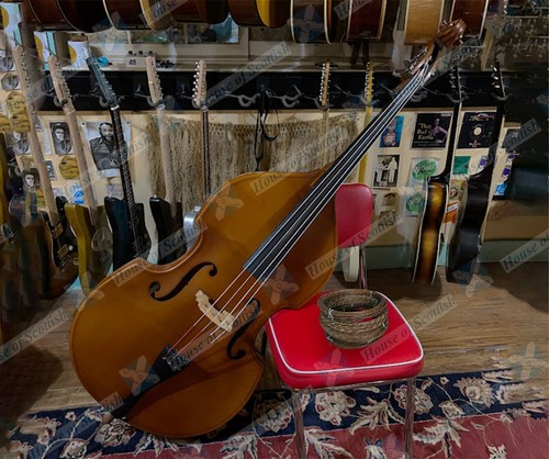 Natural gut strings - natural,