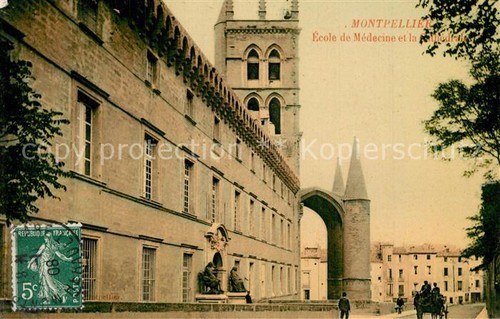 Montpellier herault ecole - montpellier,