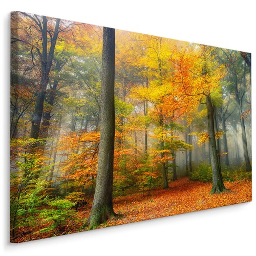 Canvas leinwand bilder xxl - canvas,