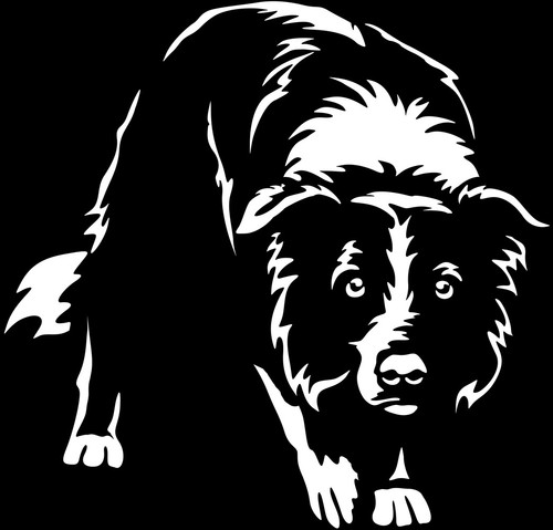 Border collie aufkleber - border,