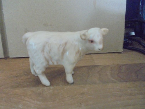 Beswick charolais creme - 3",