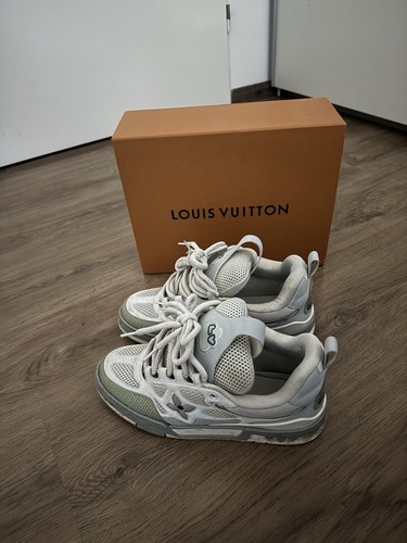 Louis vuitton skates - louis,