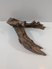 Mangrovenwurzel lbh ca - #11,