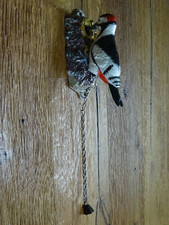 Türklopfer Specht – bunter