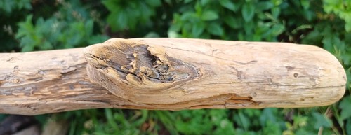 Schön gemasertes und - schön,