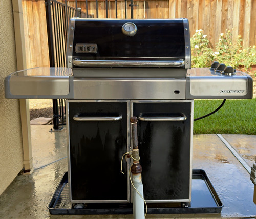 Weber genesis silver - silver, b