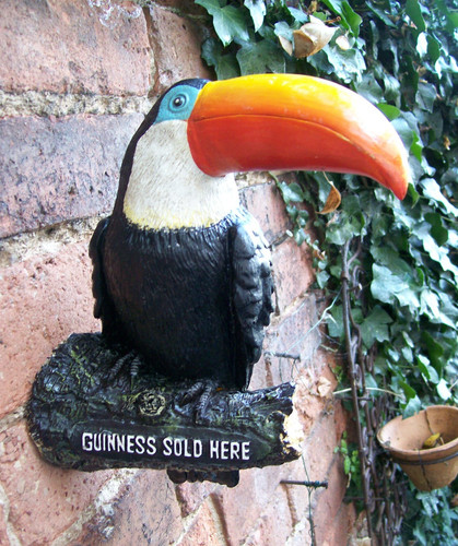 Wandmontiertes guinness hier - wandmontiertes,