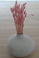 Trockenblumen Strauß Rosa Vase DEko Hasenschwänzchen Lagurus getrocknet, Lagurus