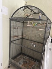 2 für 1! Vogelvoliere Darwin/
