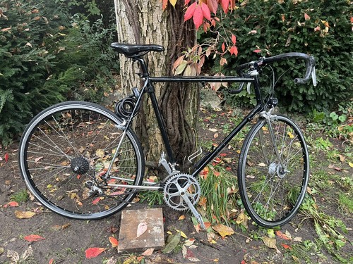 Dancelli rennrad zoll - dancelli, 29