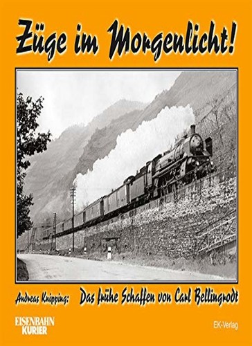 Züge morgenlicht das - morgenlicht:,