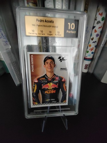 Pedro acosta moto mtg grade - gp,