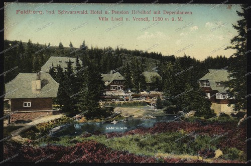 AK-Feldberg-Schwarzwald-Hotel-