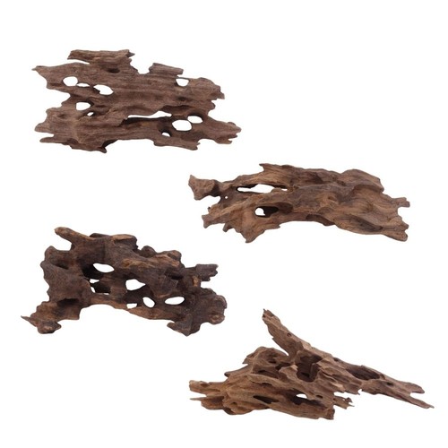 Aquaone honey comb - comb, m