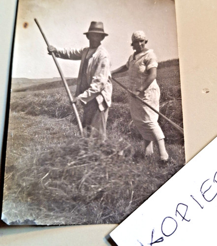 Altes foto vintage - altes,