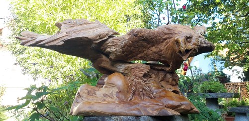 Adler bussard habicht - adler,