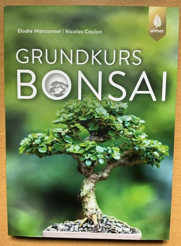 Grundkurs bonsai von elodie - von,