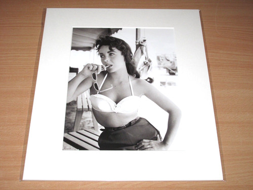 Lumas foto bild elizabeth - lumas,
