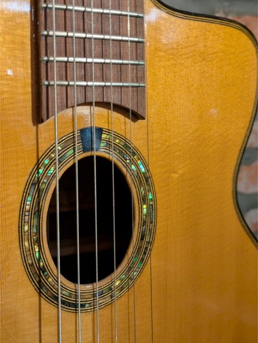 Django meistergitarre f - django,