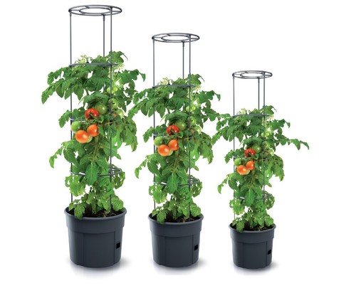 Tomatentopf blumentopf - tomatentopf,