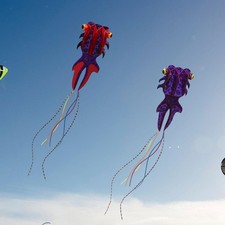 Riesendrachen für Den Park