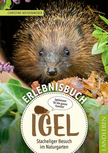 Erlebnisbuch igel stacheliger - erlebnisbuch,