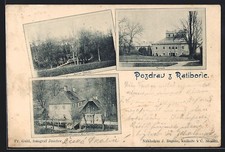 Ratibor, Roaisle Viktorky