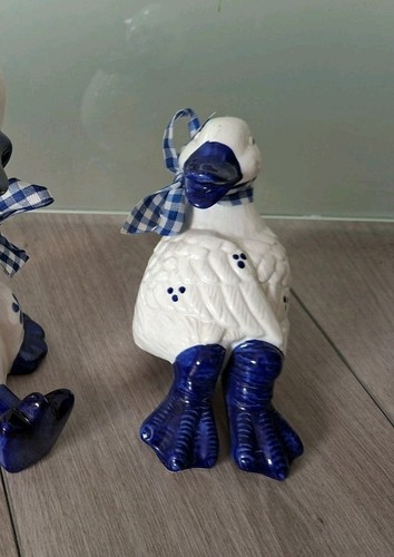 Ente gans blau - ente,