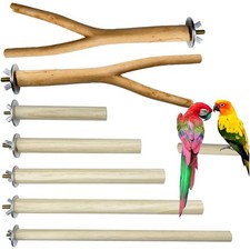 Vogel Sitzstangen, Papageien