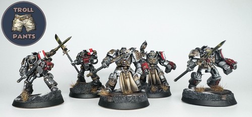 Grey knights paladine - 5,