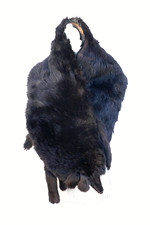 alter Pelzschal / Pelzstola