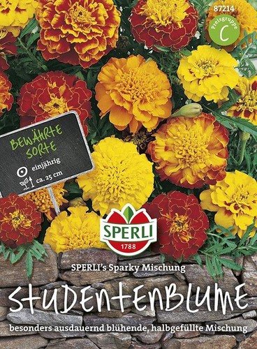 Tagetes studentenblume sparki - tagetes,