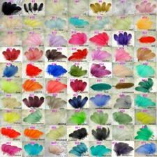 Verschiedene farbige Federn