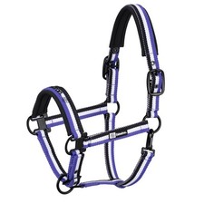 Halfter Pferdehalfter Eskadron Dynamic Halfter Douple Pin - black/white/purple