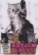 KATZEN BABYS - Eine Doku für