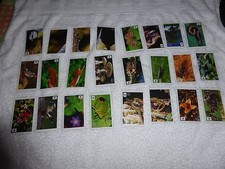 Edeka unser Wald 20 Sticker aussuchen