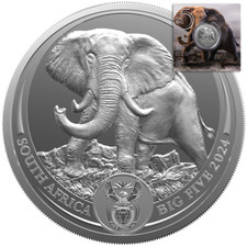 Silbermünze Südafrika Big