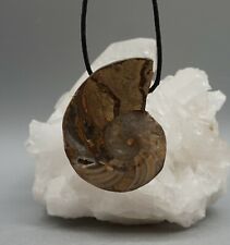 Großer AMMONIT Anhänger