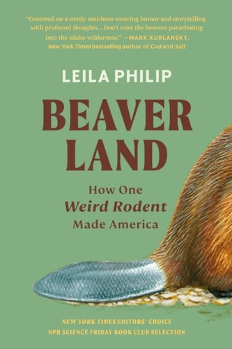 Beaverland how one - beaverland,