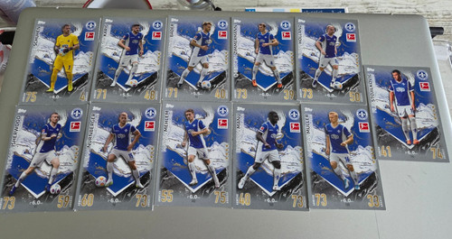 Darmstadt topps - sv,