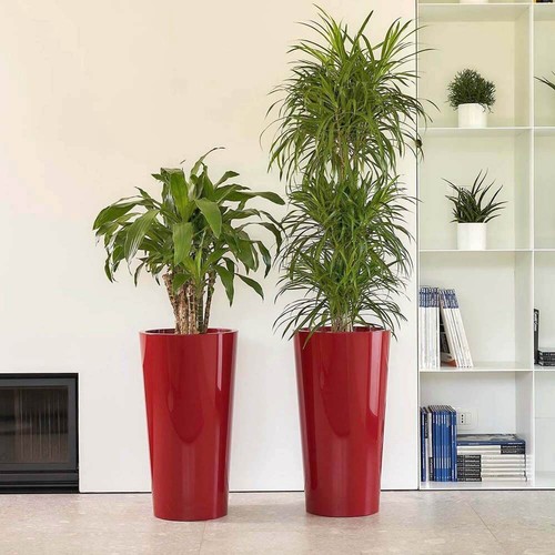 Xxl blumentopf mit - xxl,