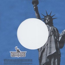 Schallplattenhülle - Record